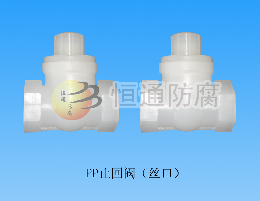 Polypropylene (PP) inside the check valve